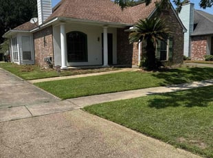 Anthony H.'s lawn maintenance service result