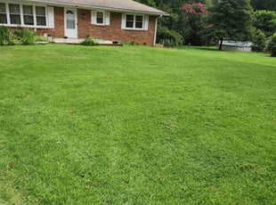 Sharnetta R.'s lawn care service result