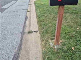 Angela H.'s lawn care service result