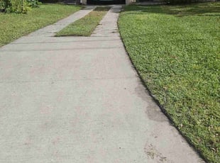 Florence B.'s turf maintenance service result