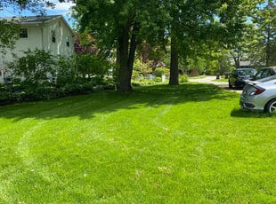 Marie R.'s Long Grass Cleanup service result