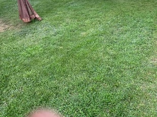 Donnie S.'s grass maintenance service result