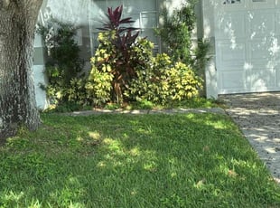 Steven V.'s lawn care services service result