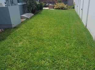 Casey R.'s lawn service service result