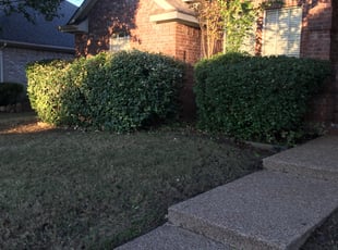 Reginald O.'s Bush Trimming service result