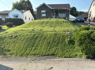 Mary K.'s lawn care service result