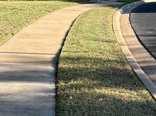 Zach E.'s lawn care service result