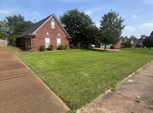 Billy P.'s lawn service service result