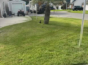 Myona M.'s lawn care services service result