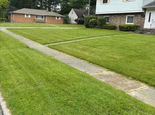 April H.'s yard care service result