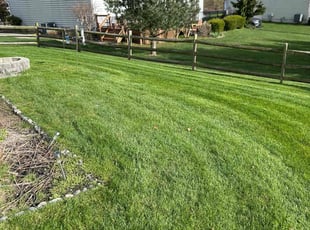 James E.'s turf care service result