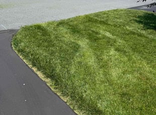 Luke D.'s grass maintenance service result