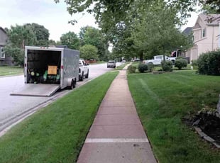 Alison G.'s lawn maintenance service result