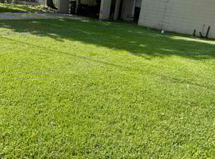 Kathy K.'s lawn care service result