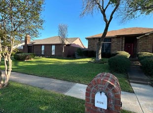 David S.'s lawn care service result