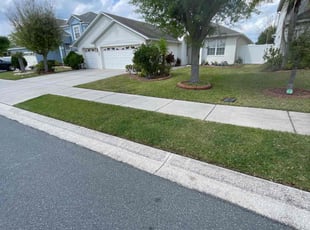 Elizabeth B.'s yard maintenance service result