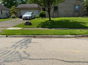 Vicki L.'s grass cutting service result