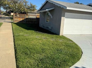 Frank T.'s turf care service result
