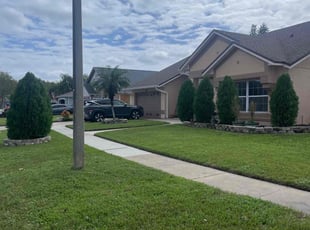 Felipe A.'s lawn care services service result