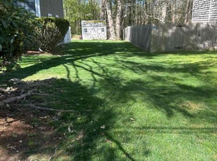 Karen M.'s turf care service result