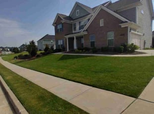 Roni S.'s turf care service result