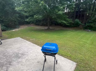 Mitsybella M.'s lawn care service result