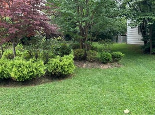 Yolande M.'s lawn maintenance service result