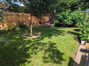 Ruth M.'s lawn care service result