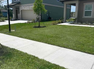 Sharon S.'s Flower Bed Weeding service result