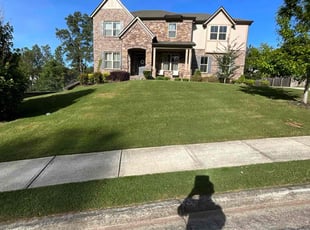 Elisabeth P.'s turf care service result