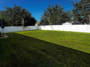 Patrick D.'s lawn care services service result