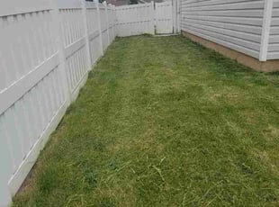 Donald P.'s lawn maintenance service result