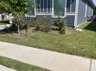 Parvin B.'s lawn care services service result