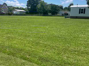 Jan A.'s grass cutting service result