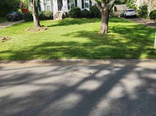 Gwendolyn J.'s lawn care service result