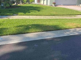 Pat H.'s lawn care services service result