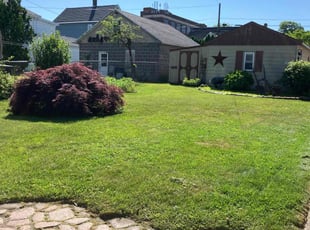 Chris K.'s lawn care service result