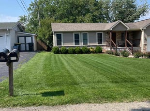 Susan C.'s turf maintenance service result