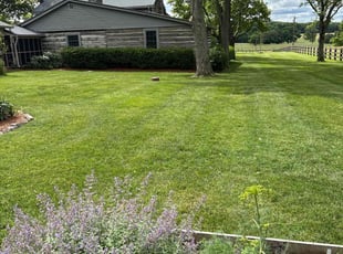 Scott Y.'s lawn maintenance service result