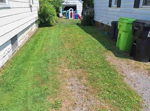 Debbie H.'s turf care service result