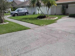 Mario C.'s turf care service result