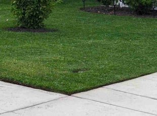VonVincent R.'s lawn care service result