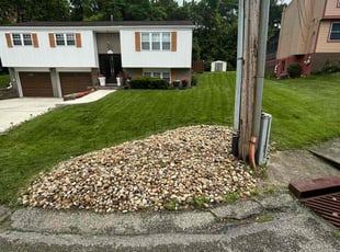 Carl B.'s turf care service result