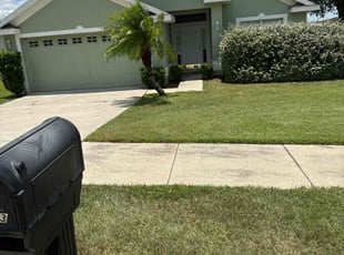 Lisa R.'s grass cutting service result