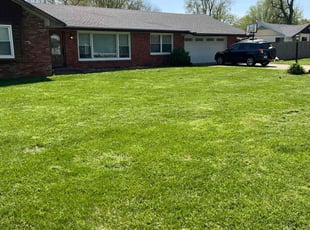 Jeff P.'s turf maintenance service result