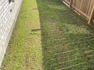 Amy G.'s lawn care services service result