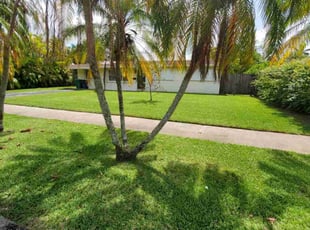 Luiggi C.'s lawn maintenance service result