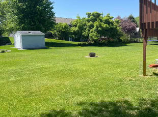 Hameem A.'s lawn care service result