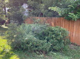 Larry U.'s Bush Trimming service result