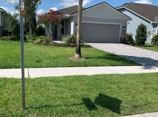 Jaime T.'s grass cutting service result